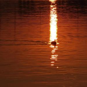 粉嫩Av一区二区三区四区免费
